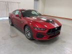 Thumbnail Photo 1 for New 2024 Ford Mustang GT Premium