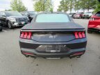 Thumbnail Photo 4 for New 2024 Ford Mustang GT