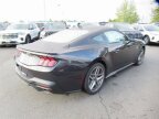 Thumbnail Photo 3 for New 2024 Ford Mustang GT