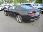 Thumbnail Photo 5 for New 2024 Ford Mustang GT