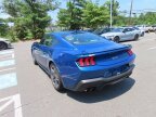 Thumbnail Photo 6 for 2024 Ford Mustang GT Premium