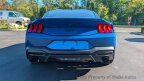 Thumbnail Photo 4 for 2024 Ford Mustang