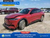 New 2024 Ford Mustang