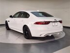 Thumbnail Photo 5 for 2024 Jaguar XF