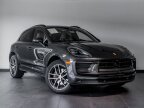 Thumbnail Photo 6 for 2024 Porsche Macan