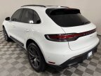 Thumbnail Photo 3 for 2024 Porsche Macan