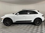 Thumbnail Photo 2 for 2024 Porsche Macan