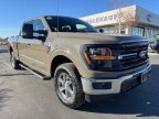 Thumbnail Photo 1 for New 2025 Ford F150