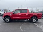 Thumbnail Photo 6 for New 2025 Ford F150