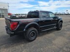 Thumbnail Photo 4 for New 2025 Ford F150