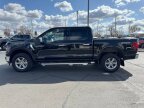 Thumbnail Photo 6 for New 2025 Ford F150
