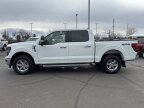 Thumbnail Photo 6 for New 2025 Ford F150