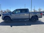 Thumbnail Photo 5 for New 2025 Ford F150