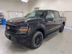 Thumbnail Photo 3 for New 2025 Ford F150