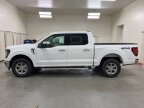 Thumbnail Photo 4 for New 2025 Ford F150