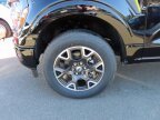 Thumbnail Photo 6 for New 2025 Ford F150