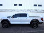 Thumbnail Photo 3 for 2025 Ford F150