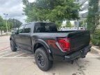 Thumbnail Photo 4 for 2025 Ford F150