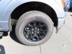 Thumbnail Photo 6 for New 2025 Ford F150