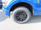 Thumbnail Photo 6 for New 2025 Ford F150
