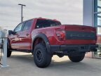 Thumbnail Photo 4 for New 2025 Ford F150