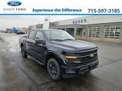 New 2025 Ford F150