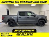 New 2025 Ford F150