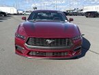 Thumbnail Photo 2 for New 2025 Ford Mustang