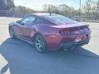 Thumbnail Photo 5 for New 2025 Ford Mustang