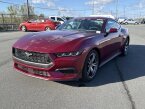 Thumbnail Photo 3 for New 2025 Ford Mustang