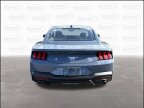 Thumbnail Photo 6 for New 2025 Ford Mustang