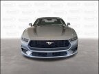 Thumbnail Photo 6 for New 2025 Ford Mustang