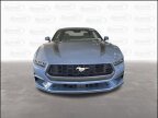 Thumbnail Photo 5 for New 2025 Ford Mustang