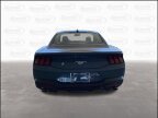 Thumbnail Photo 3 for New 2025 Ford Mustang