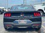 Thumbnail Photo 5 for New 2025 Ford Mustang GT