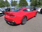 Thumbnail Photo 3 for New 2025 Ford Mustang GT