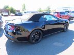 Thumbnail Photo 3 for New 2025 Ford Mustang GT Premium
