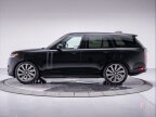 Thumbnail Photo 1 for New 2025 Land Rover Range Rover