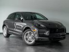 Thumbnail Photo 6 for 2025 Porsche Macan