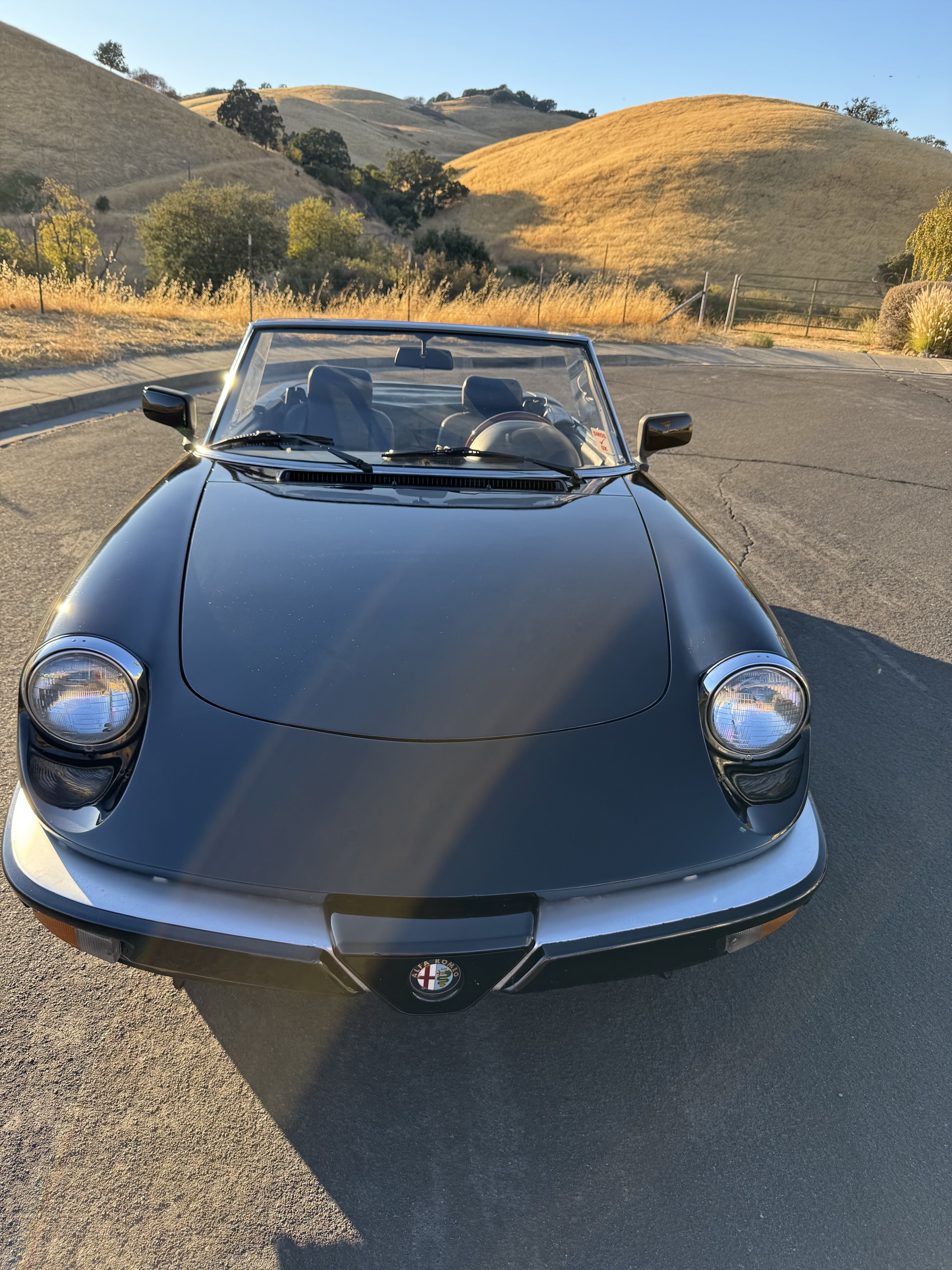 1986 Alfa Romeo Spider Veloce