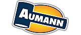 Aumann Auctions