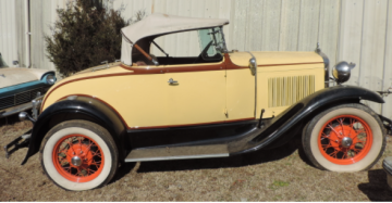 Yount Auction and Realty