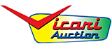 Vicari Auction