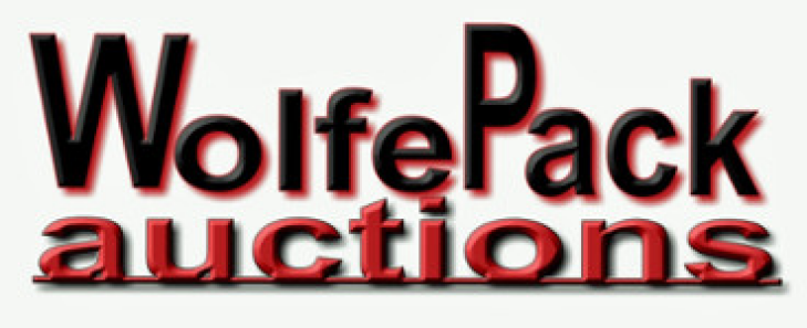 WOLFE PACK AUCTION SERVICES INC