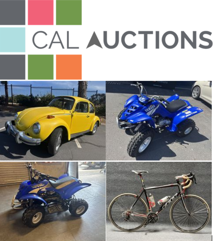 Dad’s Treasure Trove Online Only Auction - Classic Car & ATVs